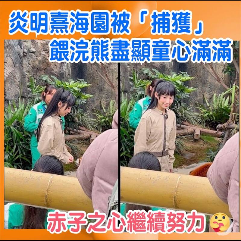 炎明熹海園被「捕獲」  餵浣熊盡顯童心滿滿