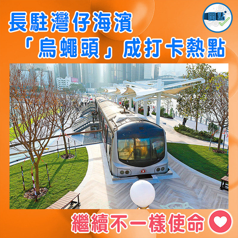 長駐灣仔海濱  「烏蠅頭」成打卡熱點