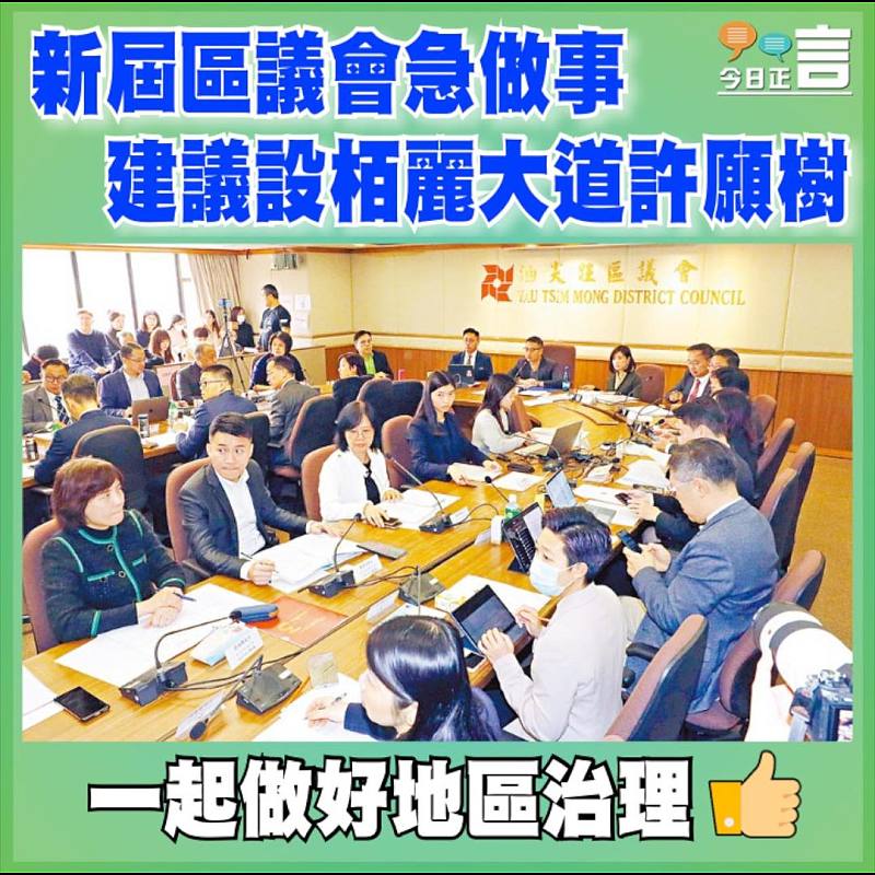 新屆區議會急做事  建議設栢麗大道許願樹