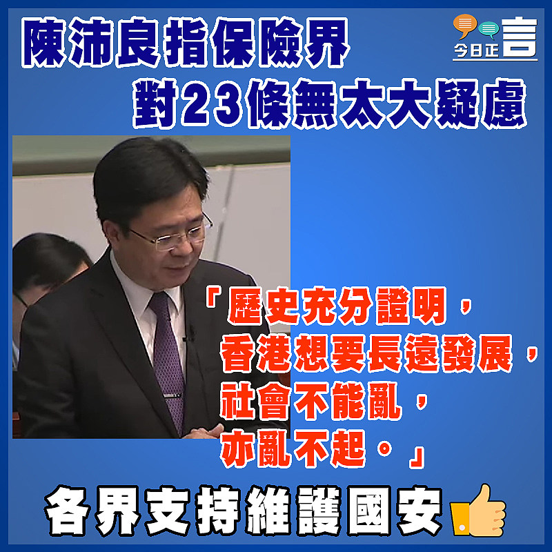 陳沛良指保險界對23條無太大疑慮：社會不能亂亦亂不起