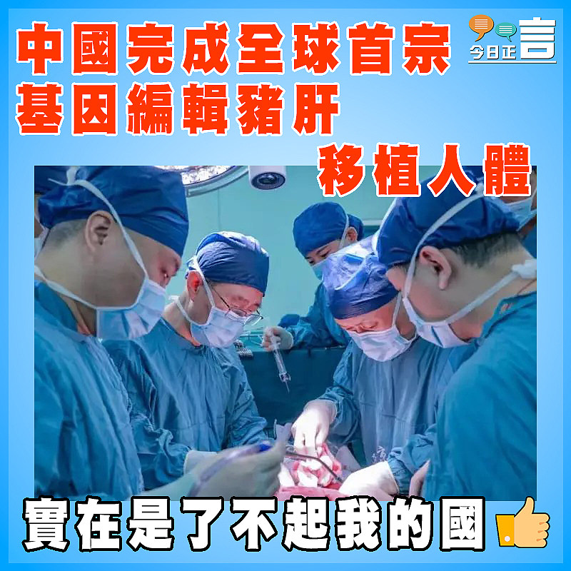 中國完成全球首宗基因編輯豬肝移植人體
