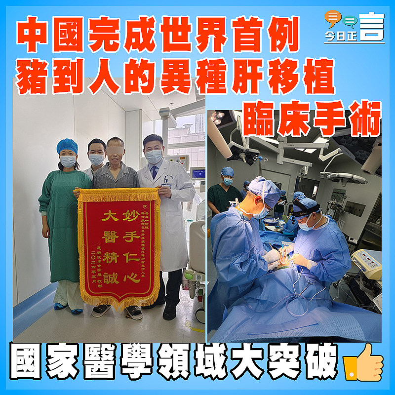 中國完成世界首例豬到人的異種肝移植臨床手術