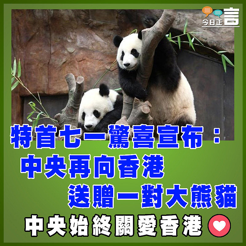 特首七一驚喜宣布：中央再向香港送贈一對大熊貓