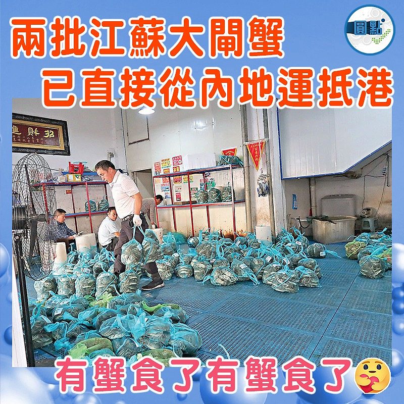 兩批江蘇大閘蟹已直接從內地運抵港