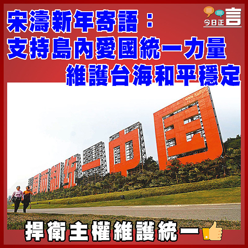 宋濤新年寄語：支持島內愛國統一力量 維護台海和平穩定