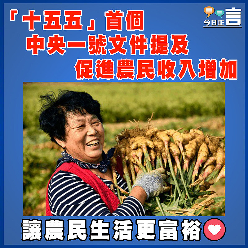 「十五五」首個中央一號文件提及促進農民收入增加