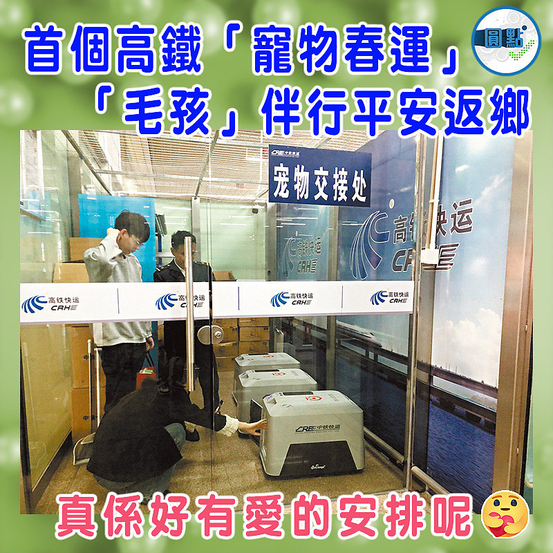 首個高鐵「寵物春運」 「毛孩」伴行平安返鄉
