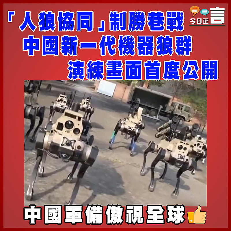 「人狼協同」制勝巷戰 中國新一代機器狼群演練畫面首度公開