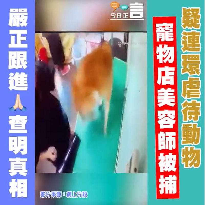 疑連環虐待動物　寵物店美容師被捕