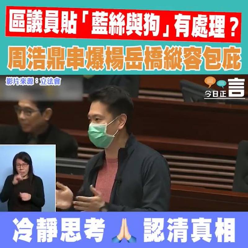 區議員貼「藍絲與狗」有處理？ 周浩鼎串爆楊岳橋縱容包庇