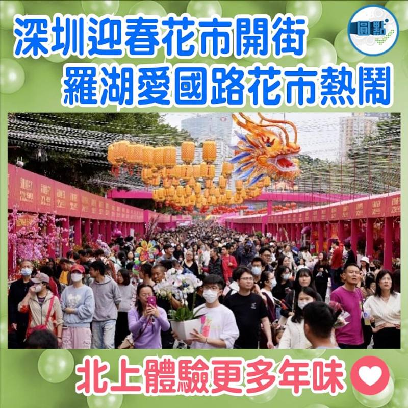 深圳迎春花市開街   羅湖愛國路花市熱鬧