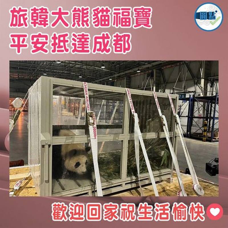 旅韓大熊貓福寶平安抵達成都