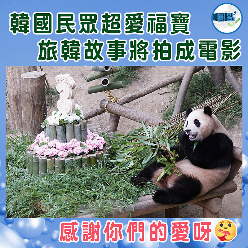 韓國民眾超愛福寶  旅韓故事將拍成電影