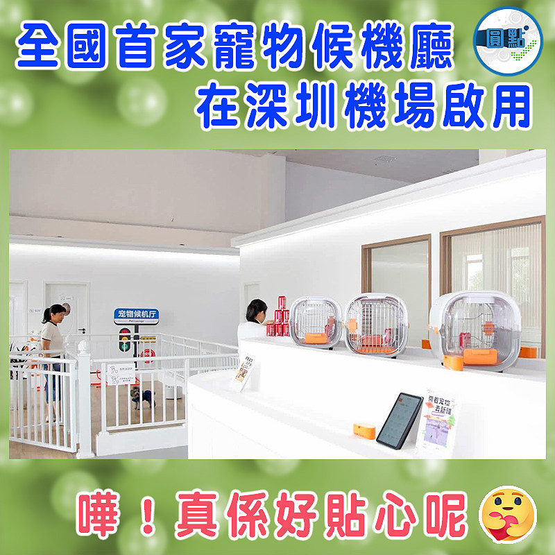 全國首家寵物候機廳在深圳機場啟用
