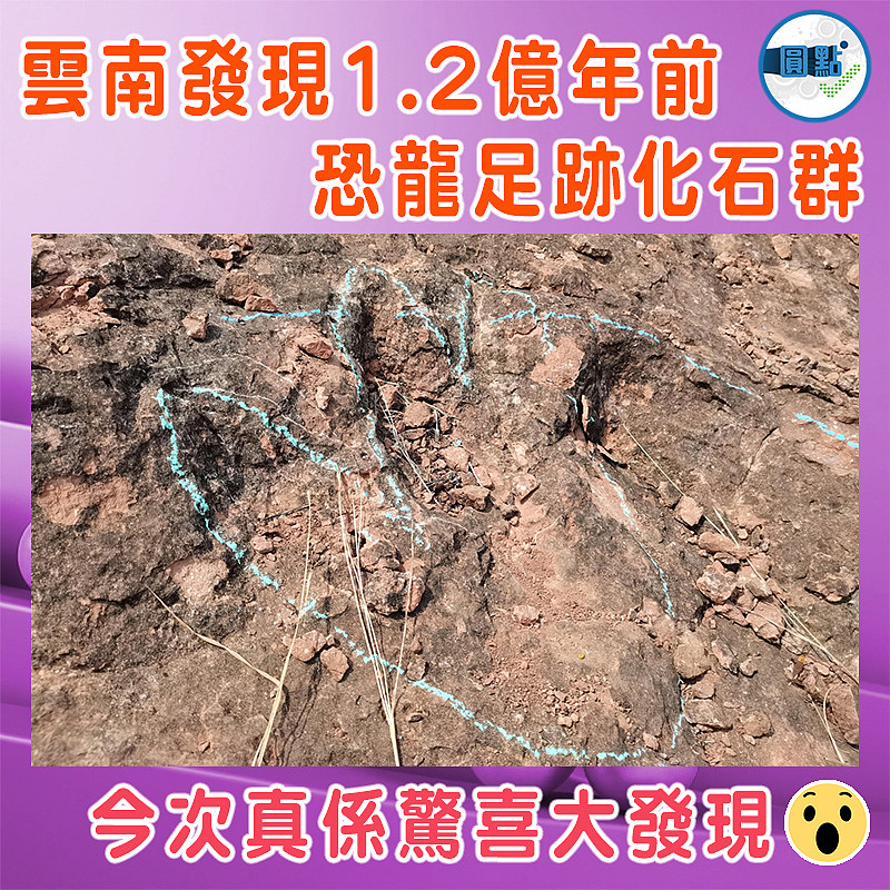 雲南發現1.2億年前恐龍足跡化石群