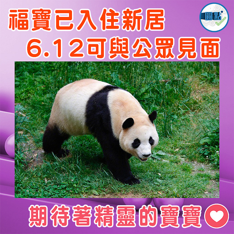 福寶已入住新居  6.12可與公眾見面