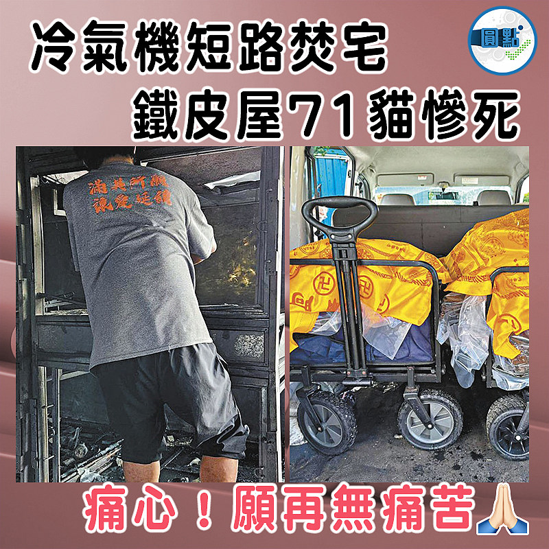 冷氣機短路焚宅  鐵皮屋71貓慘死