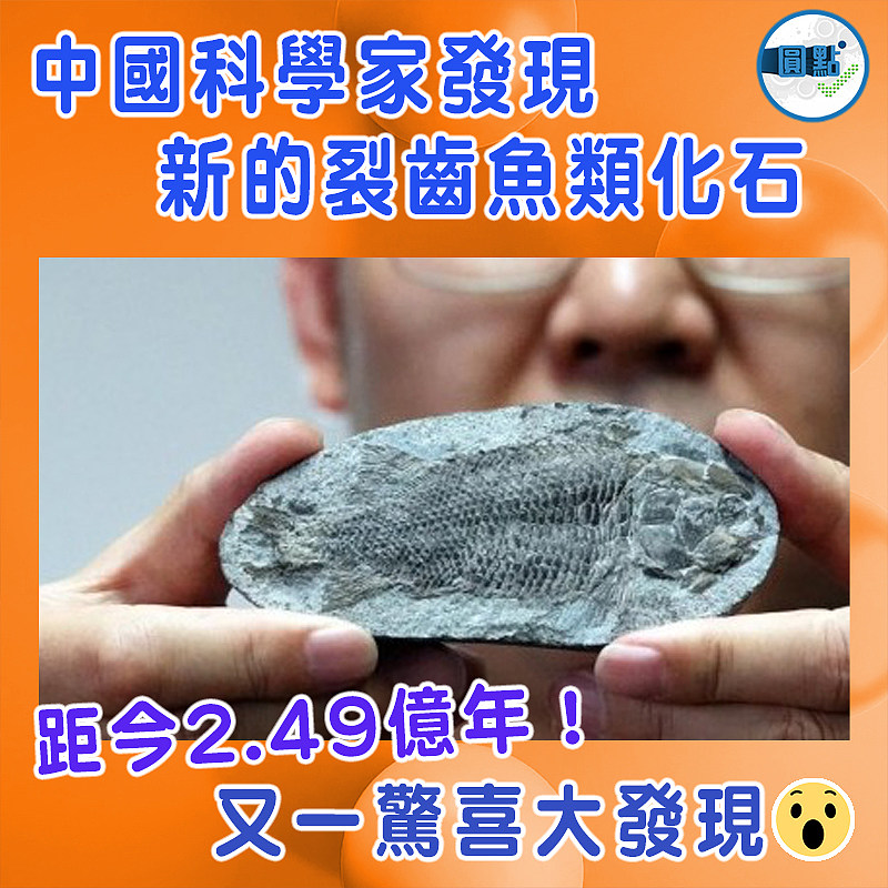 中國科學家發現新的裂齒魚類化石