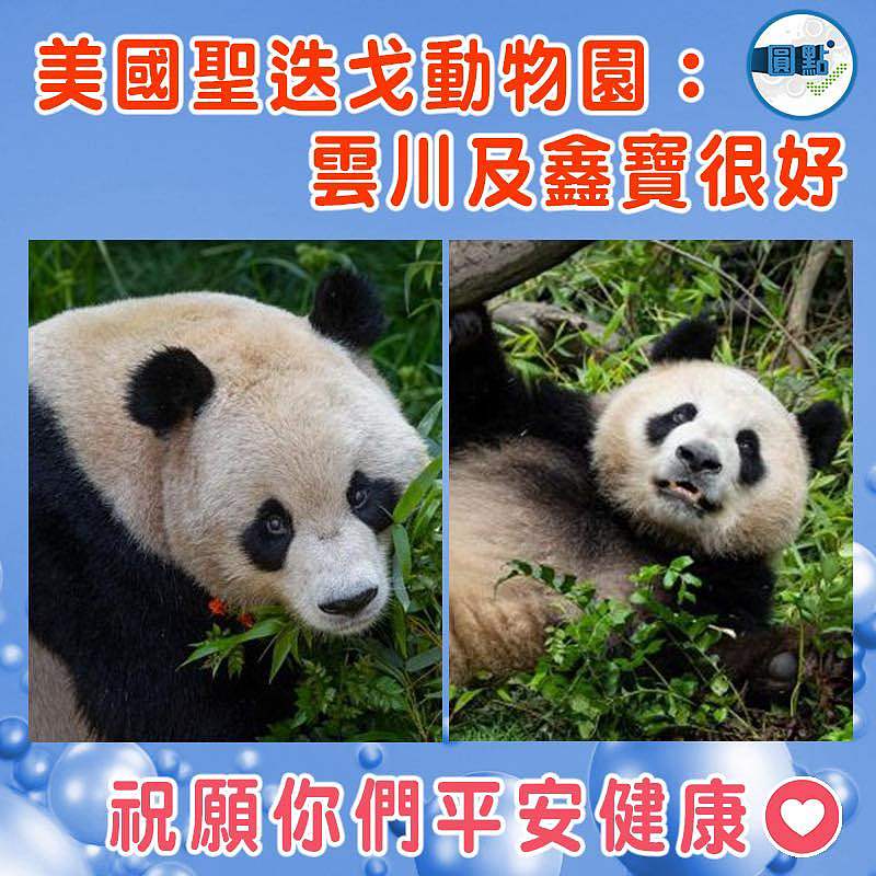 美國聖迭戈動物園：雲川及鑫寶很好