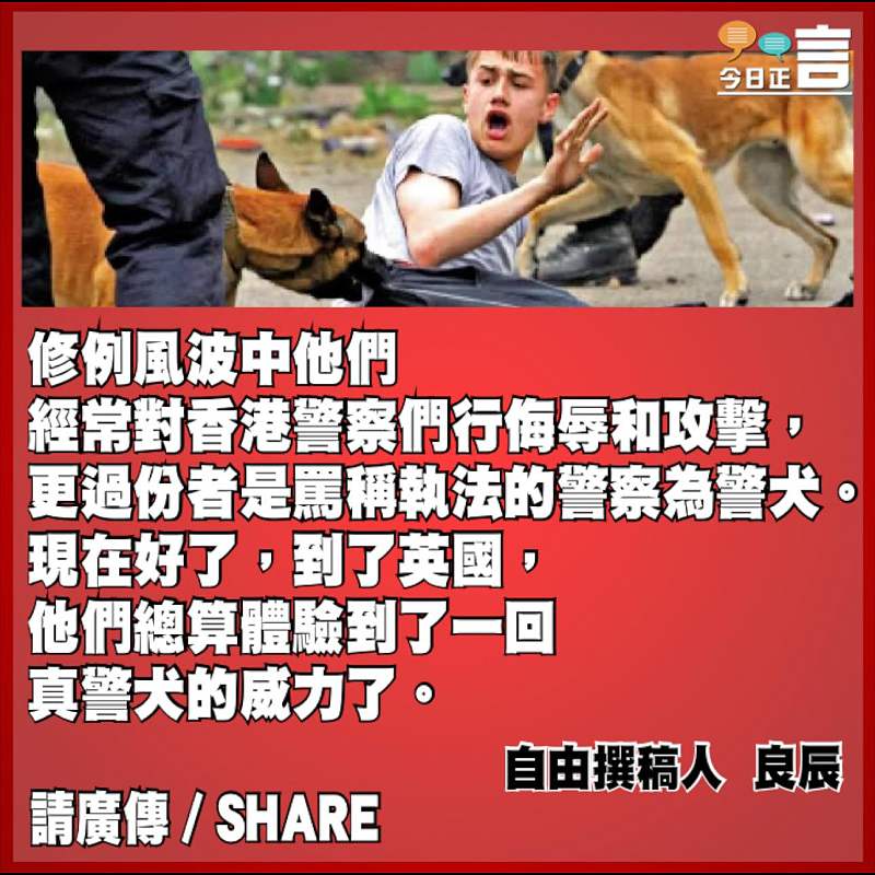 當移英友遇上真警犬