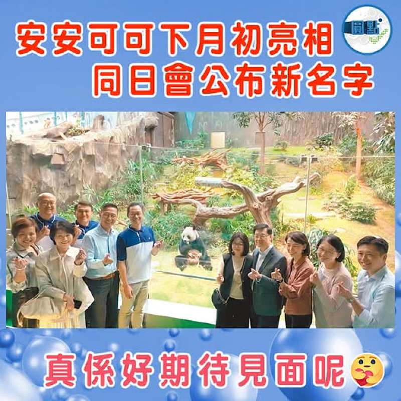 安安可可下月初亮相 同日會公布新名字