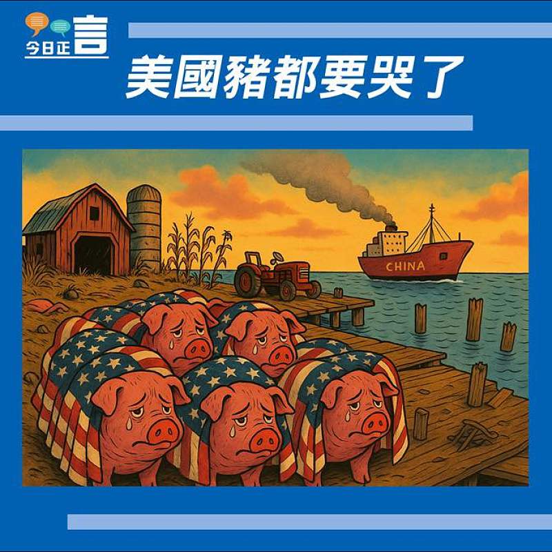 【正言漫畫】美國豬都要哭了