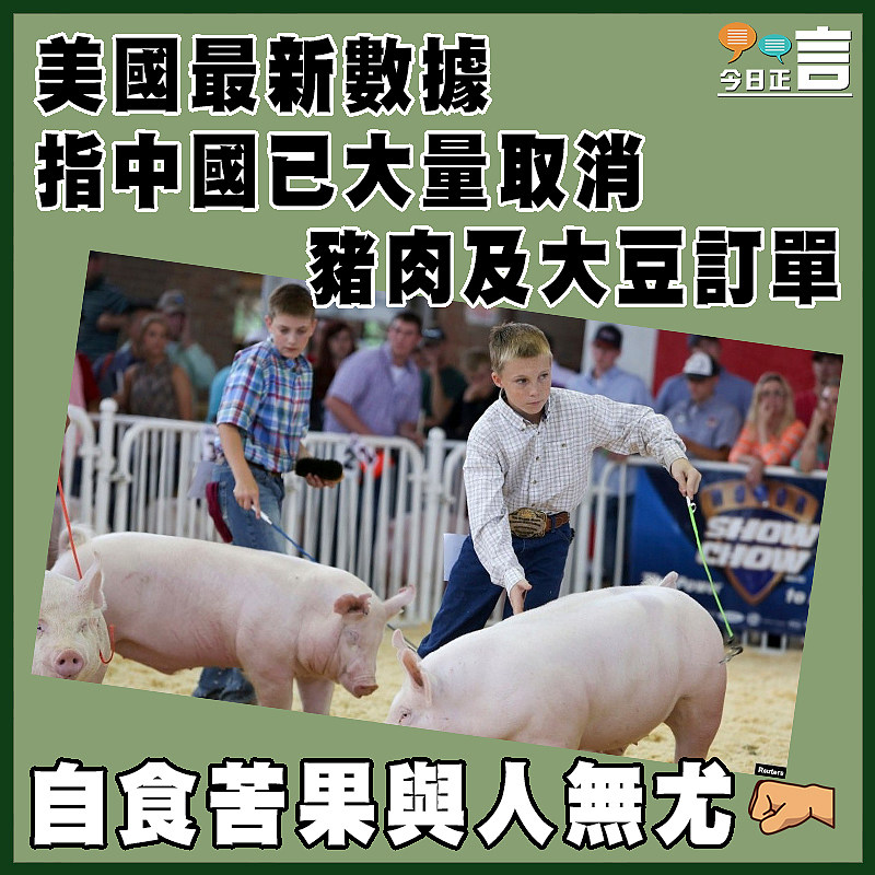 美國最新數據指中國已大量取消豬肉及大豆訂單