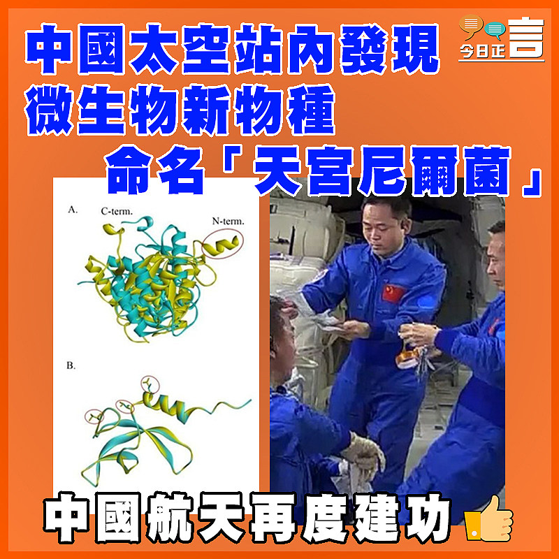 中國太空站內發現微生物新物種  命名「天宮尼爾菌」