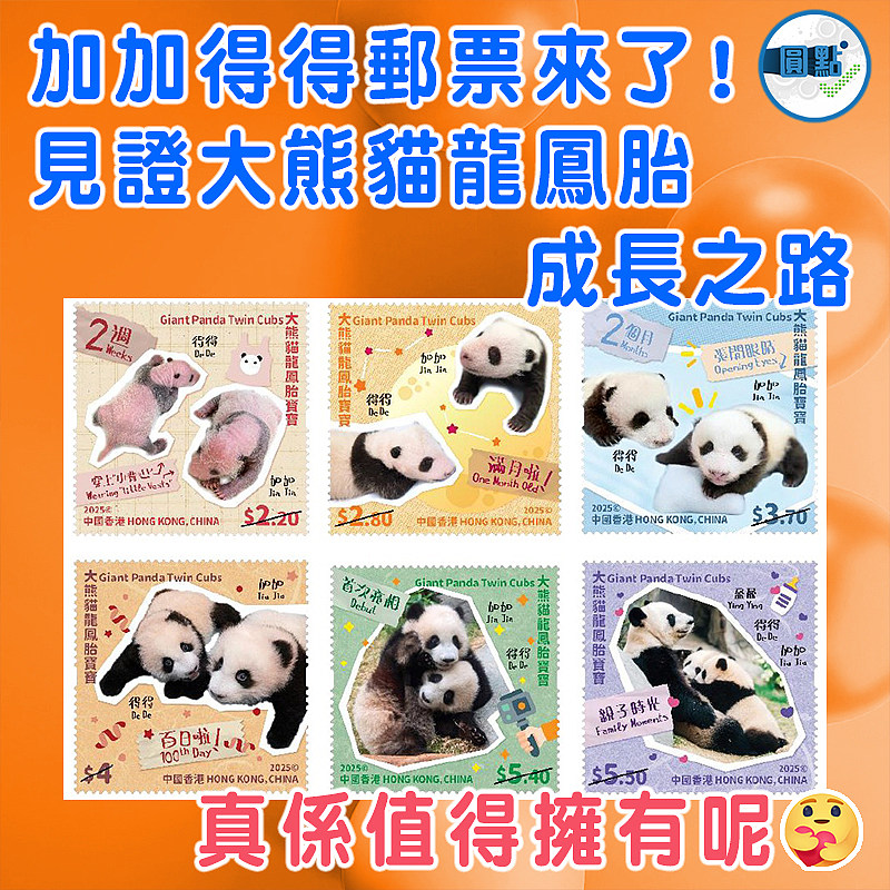 加加得得郵票來了！見證大熊貓龍鳳胎成長之路