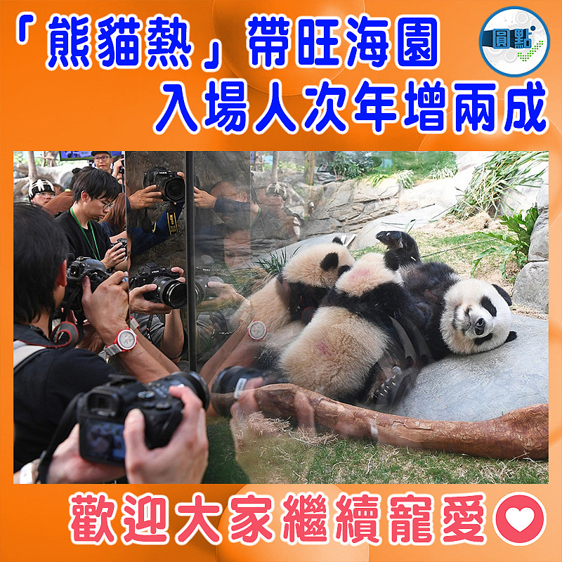 「熊貓熱」帶旺海園  入場人次年增兩成