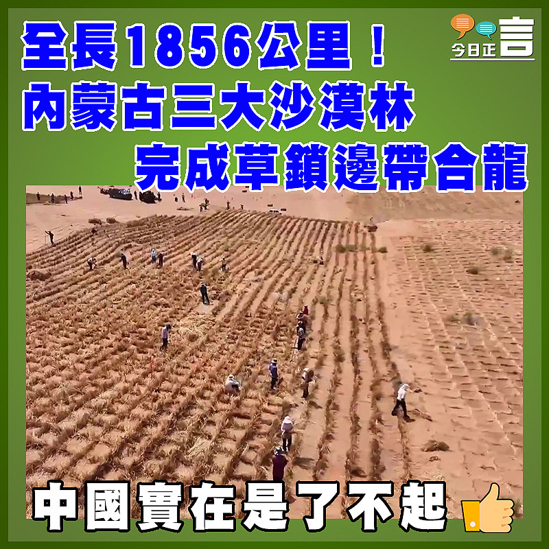 全長1856公里！內蒙古三大沙漠林完成草鎖邊帶合龍