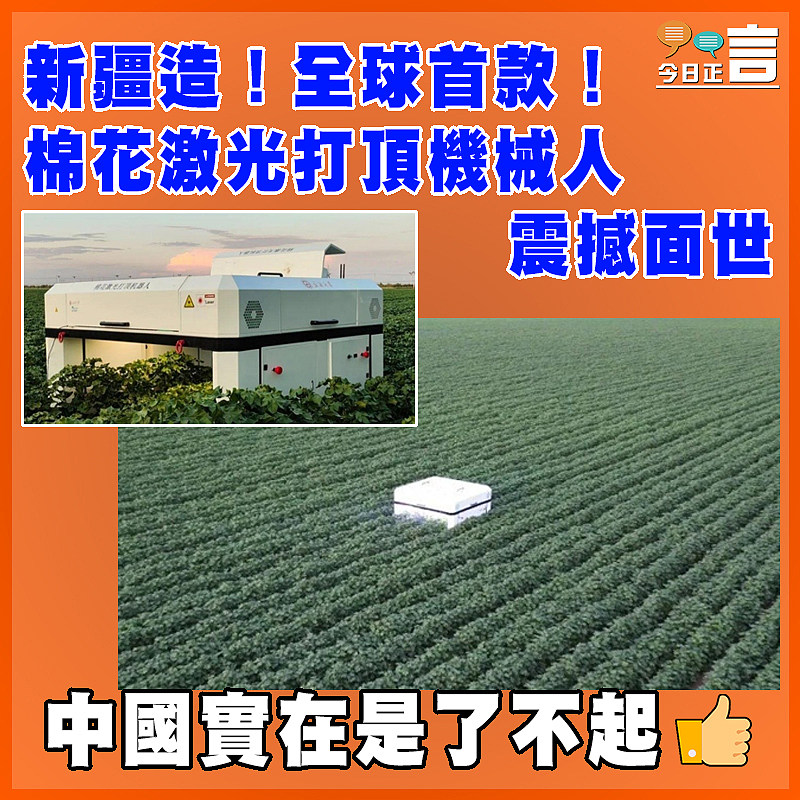 新疆造！全球首款！棉花激光打頂機械人震撼面世