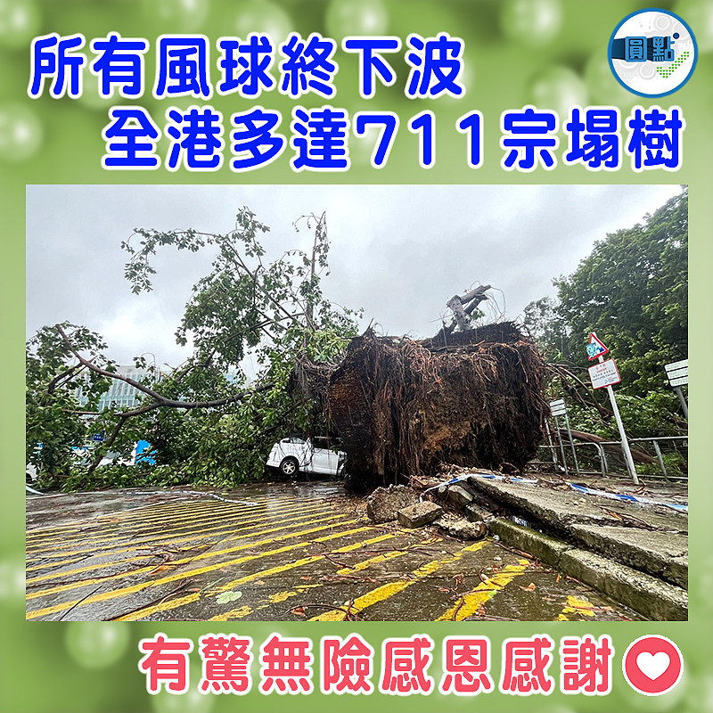 所有風球終下波  全港多達711宗塌樹