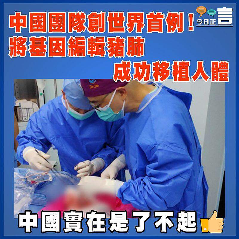 中國團隊創世界首例！將基因編輯豬肺成功移植人體