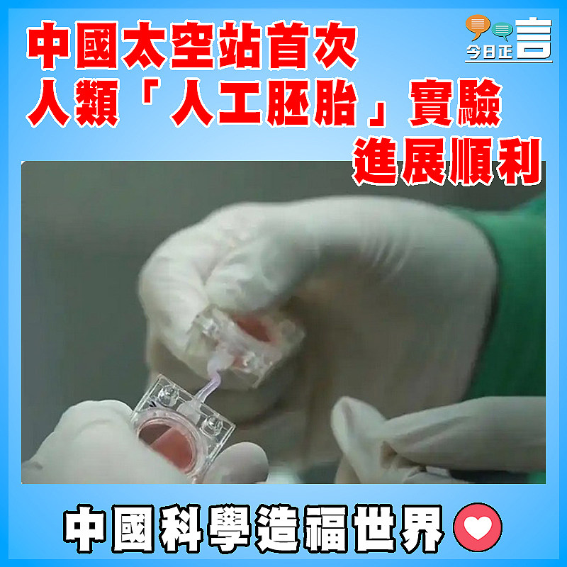 中國空間站首次人類「人工胚胎」實驗進展順利