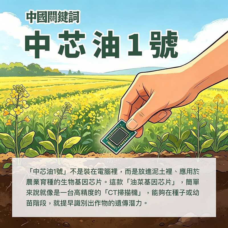 【正言專題】中國關鍵詞：中芯油1號