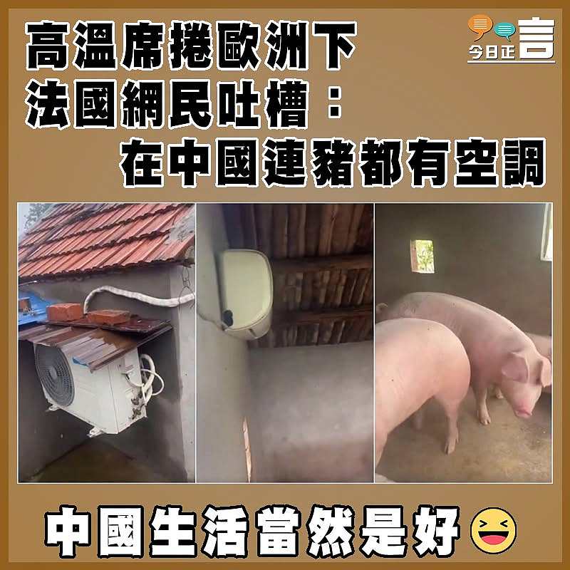 高溫席捲歐洲下　 法國網民吐槽：在中國連豬都有空調