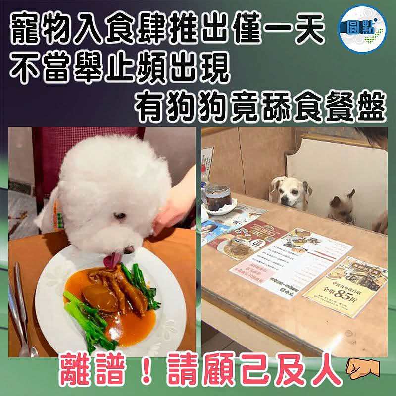 寵物入食肆推出僅一天  不當舉止頻出現 有狗狗竟舔食餐盤