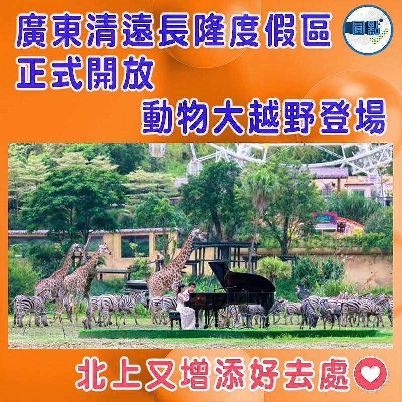 廣東清遠長隆度假區正式開放  動物大越野登場