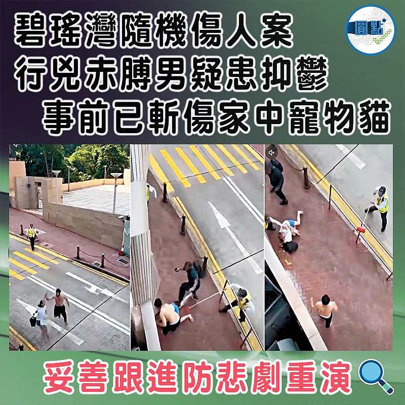 碧瑤灣隨機傷人案 行兇赤膊男疑患抑鬱 事前已斬傷家中寵物貓