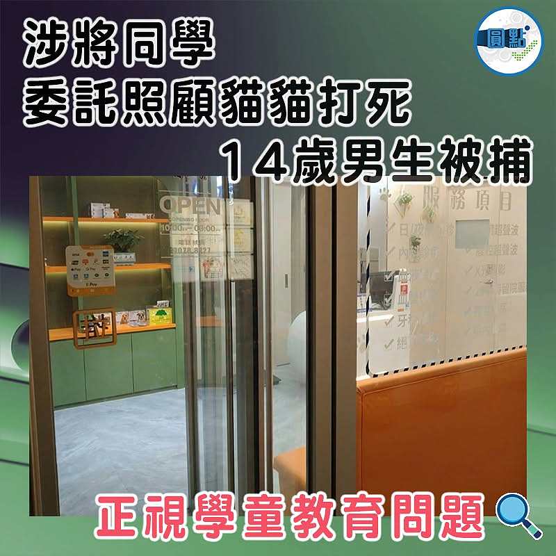 涉將同學委託照顧貓貓打死   14歲男生被捕