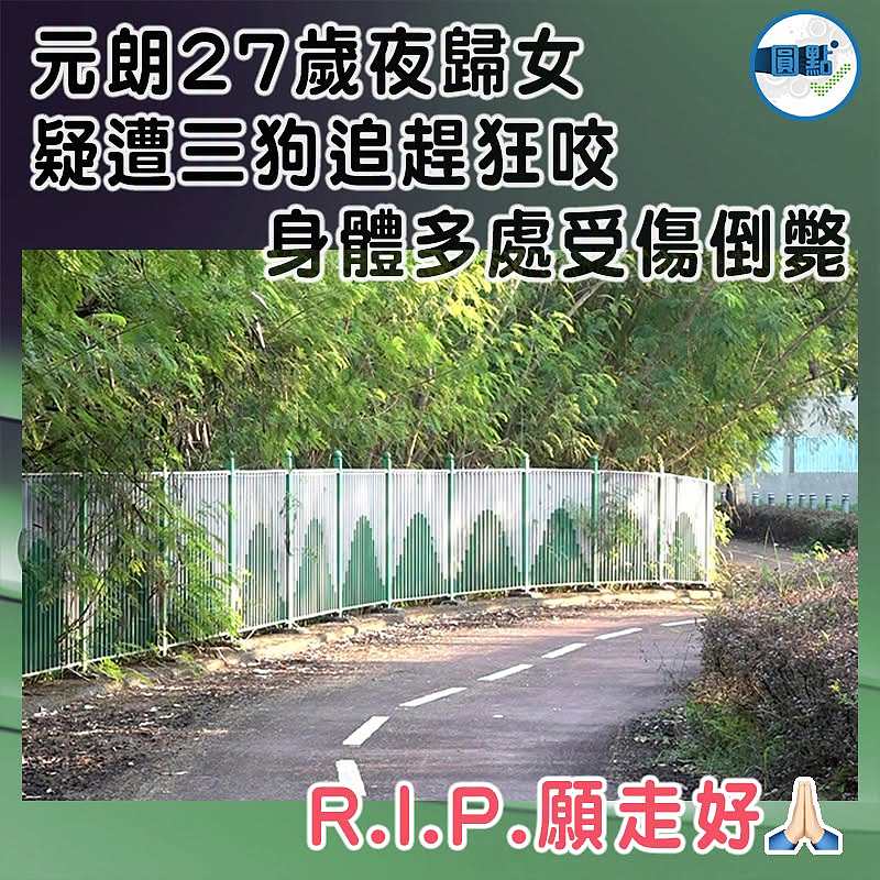 元朗27歲夜歸女疑遭三狗追趕狂咬　   身體多處受傷倒斃