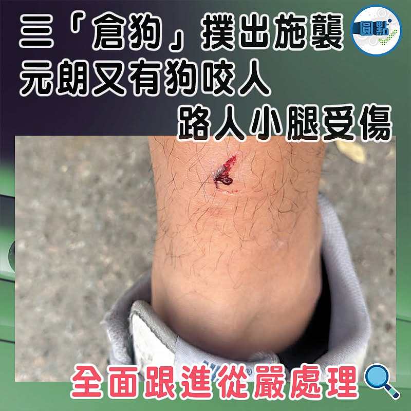 三「倉狗」撲出施襲 元朗又有狗咬人 路人小腿受傷